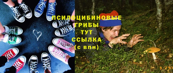 амф Богородск