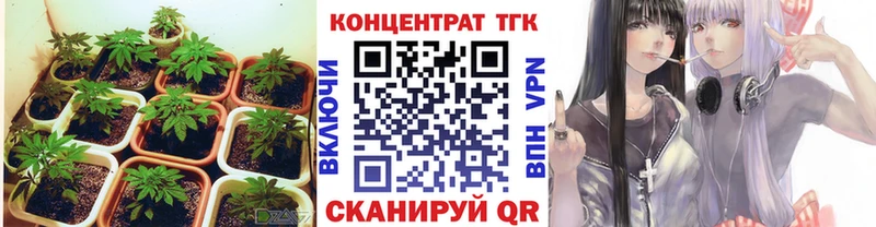 Дистиллят ТГК концентрат  гидра ТОР  Мценск  как найти  
