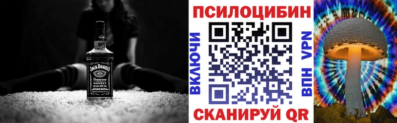 Псилоцибиновые грибы Psilocybine cubensis магазин продажи Мценск